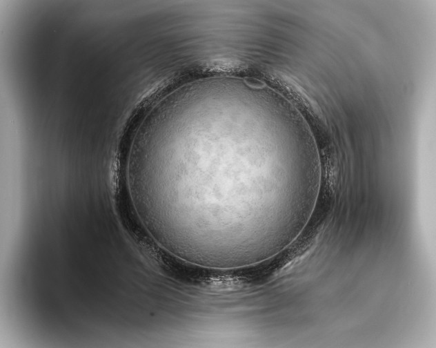 X0000094320591200711021353