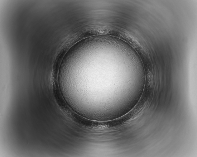 X0000094320594200711021353