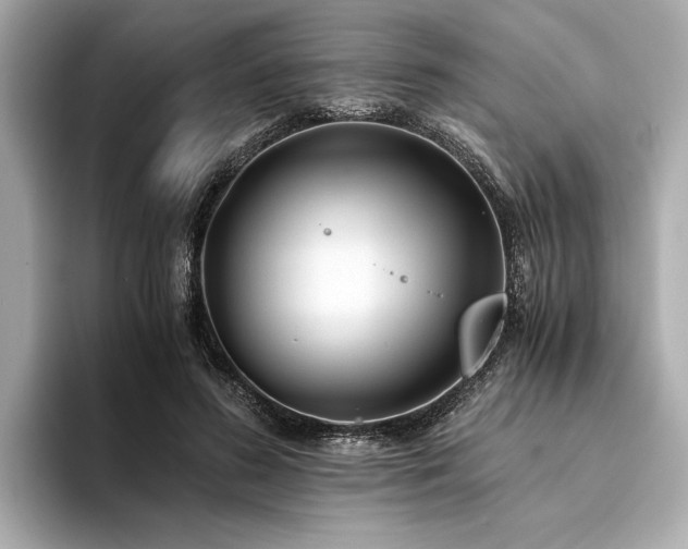 X0000094320596200711021353