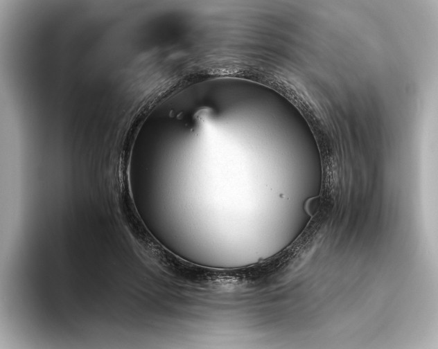 X0000094320598200711021353