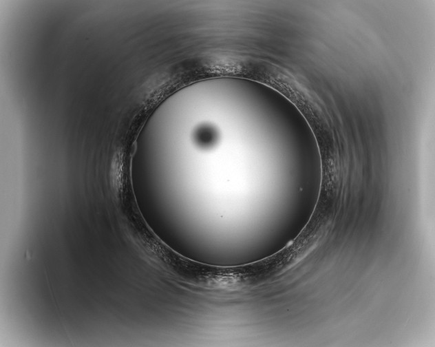 X0000094320600200711021353