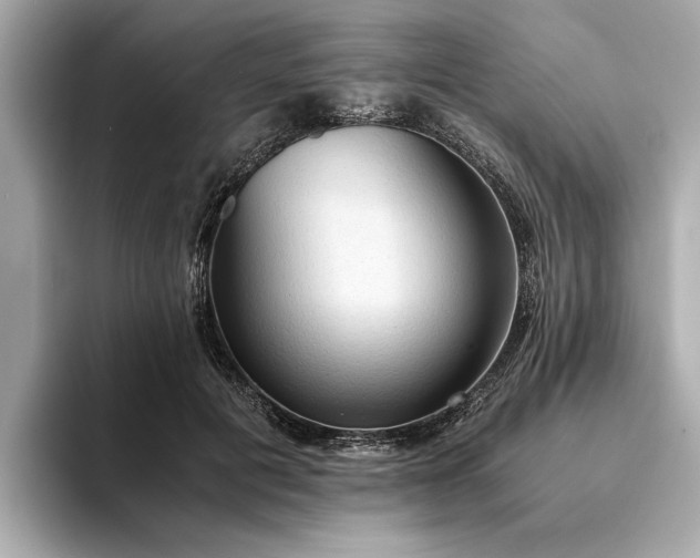 X0000094320601200711021353
