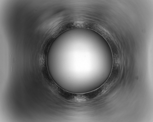X0000094320603200711021353