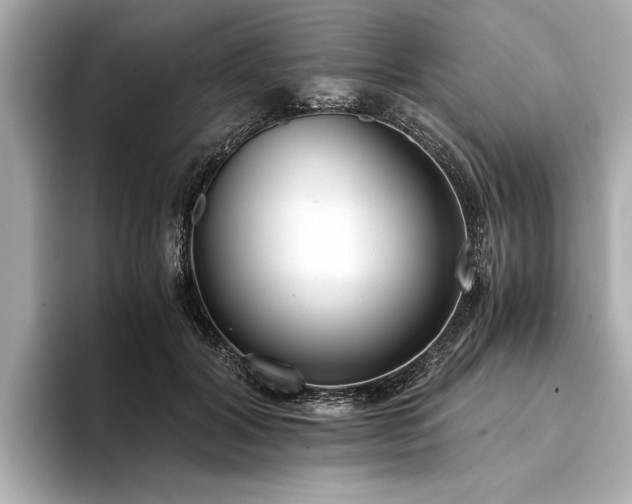 X0000094320604200711021353
