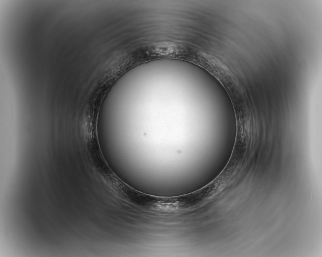 X0000094320606200711021353