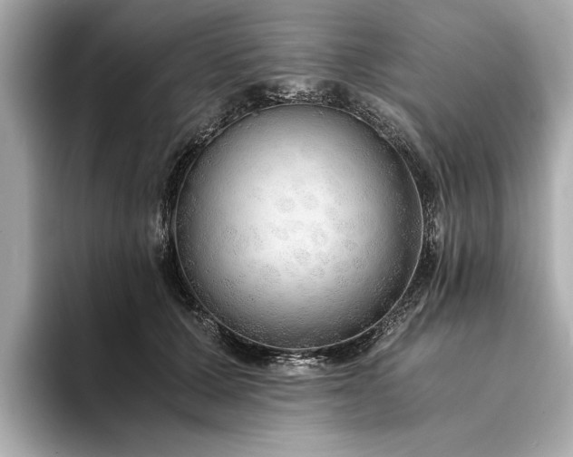 X0000094320607200711021353
