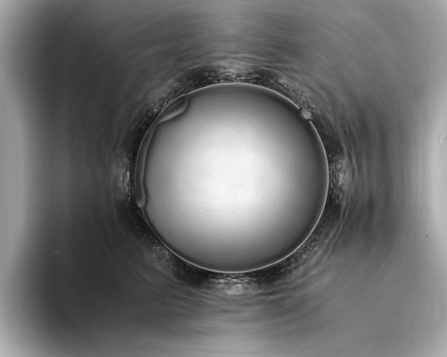 X0000094320615200711021353