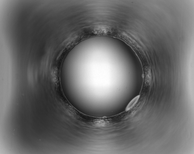 X0000094320616200711021353