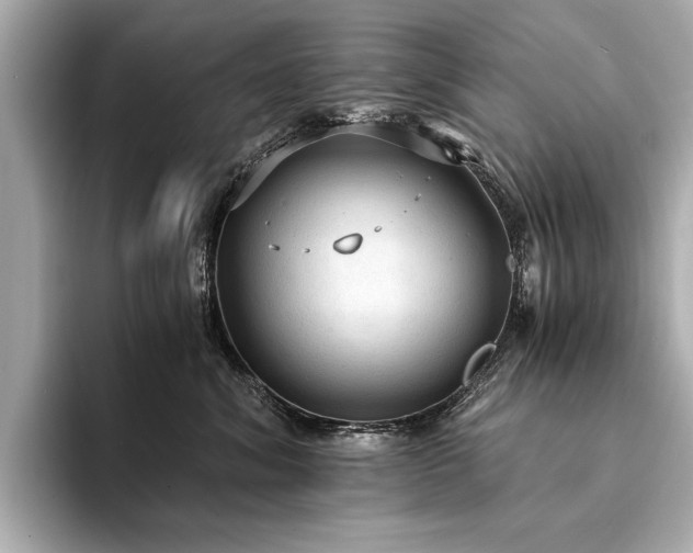 X0000094320620200711021353