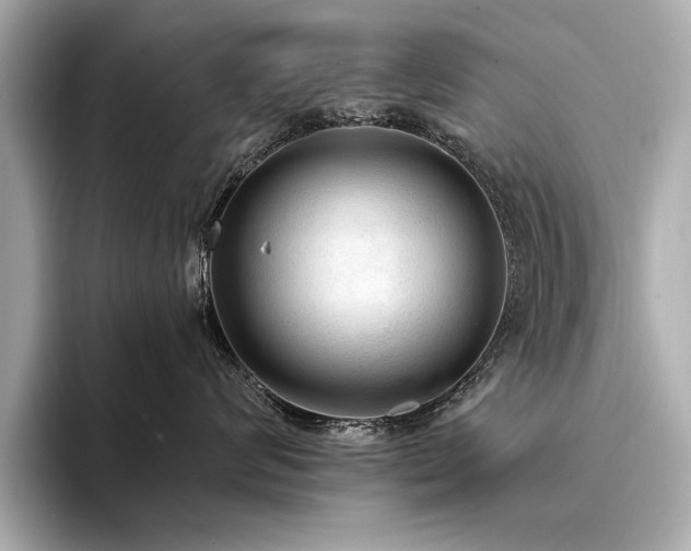 X0000094320624200711021353