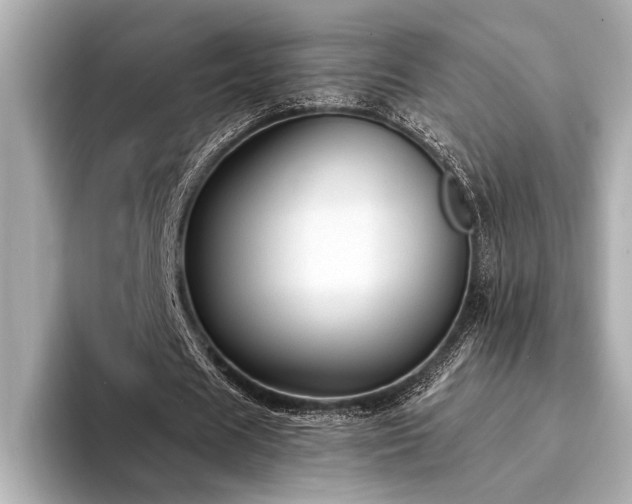 X0000094320625200711021352