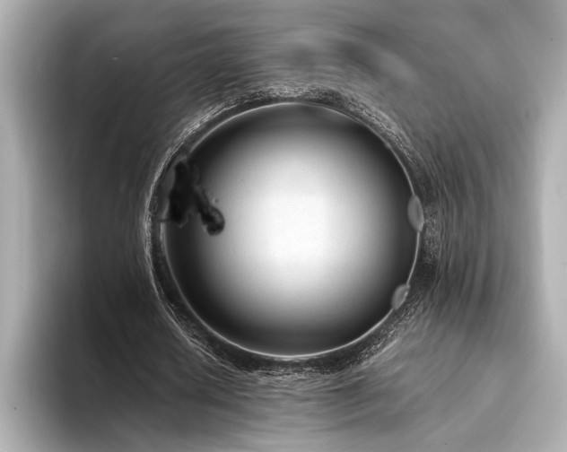 X0000094320626200711021352