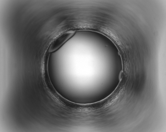 X0000094320629200711021352