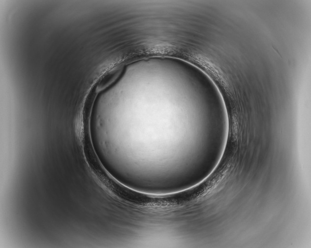 X0000094320630200711021352