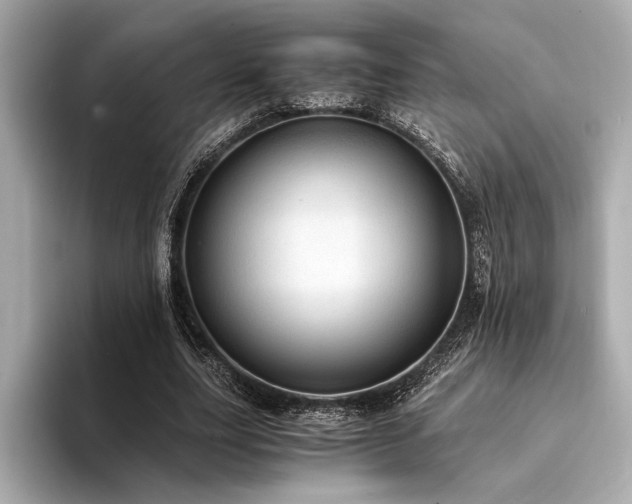 X0000094320631200711021352