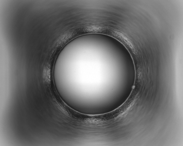 X0000094320633200711021352