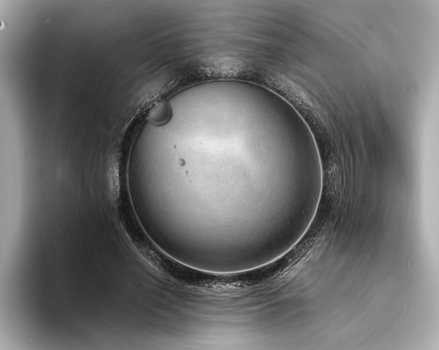 X0000094320638200711021352