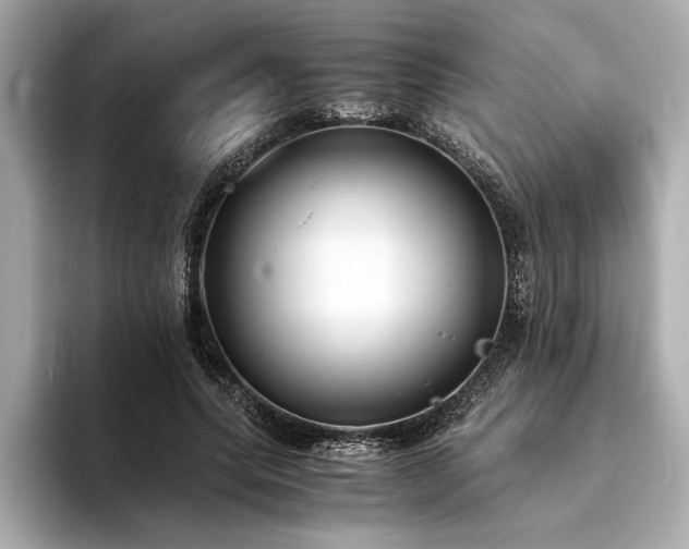 X0000094320639200711021352
