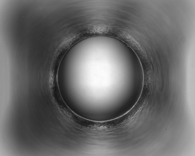 X0000094320640200711021352