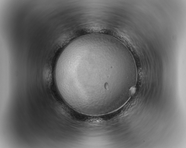 X0000094320642200711021352