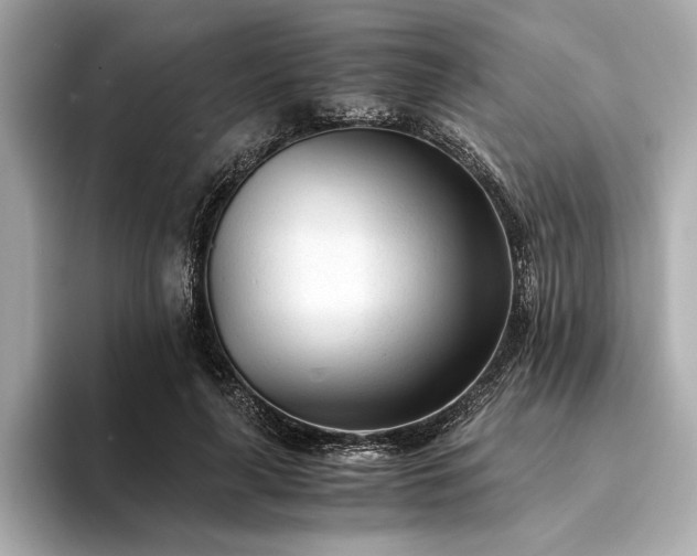X0000094320643200711021352