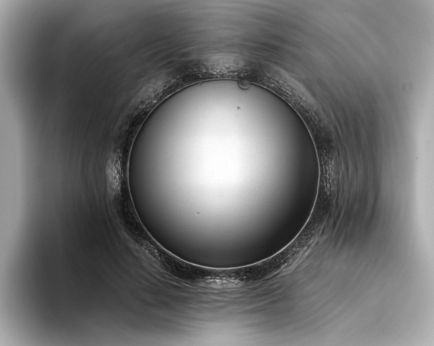 X0000094320644200711021352