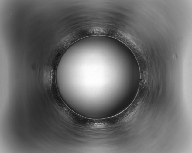 X0000094320645200711021352