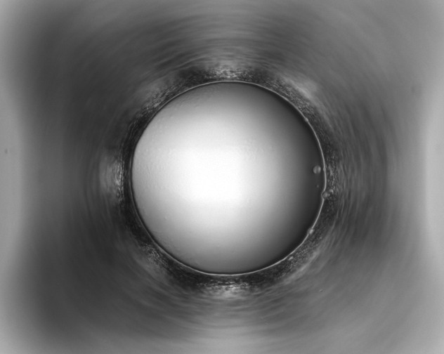 X0000094320646200711021352