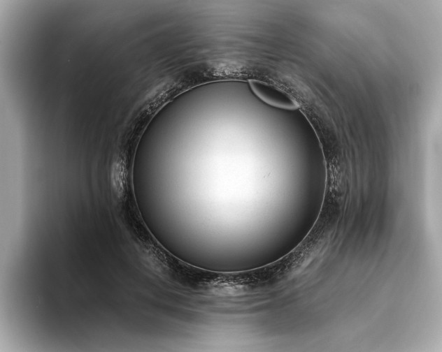 X0000094320648200711021352