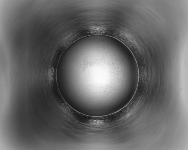 X0000094320649200711021352