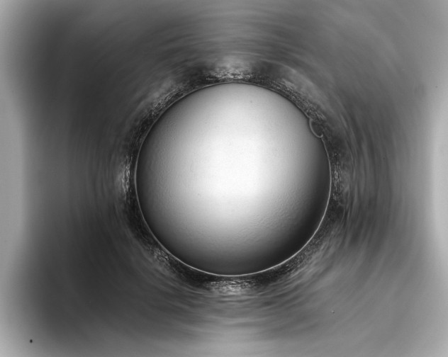 X0000094320652200711021352