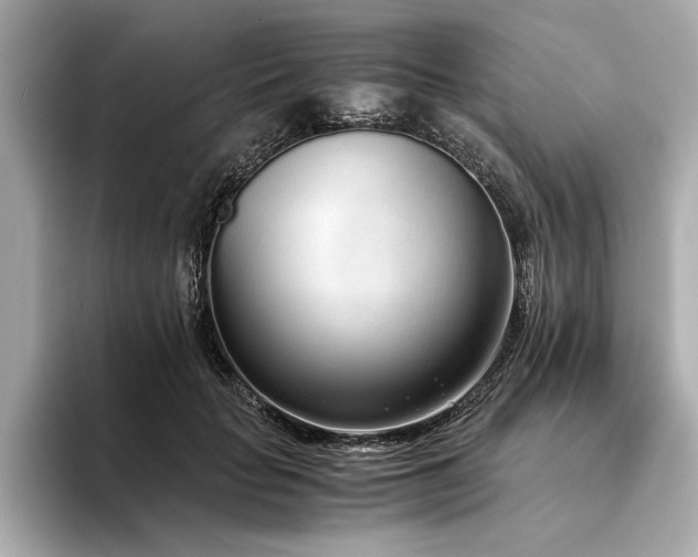 X0000094320653200711021352