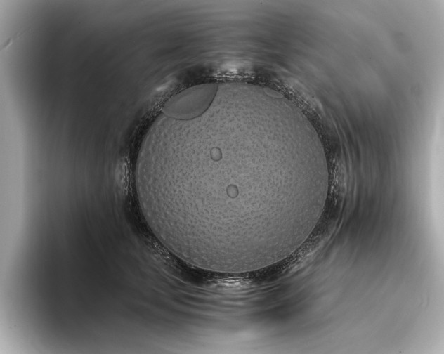 X0000094320659200711021352
