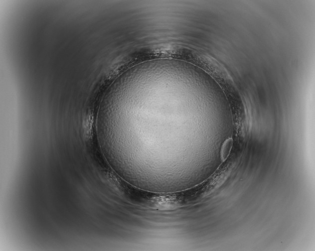 X0000094320660200711021352