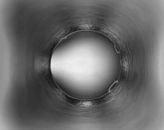 X0000094320665200711021353