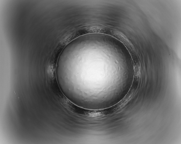 X0000094320669200711021353