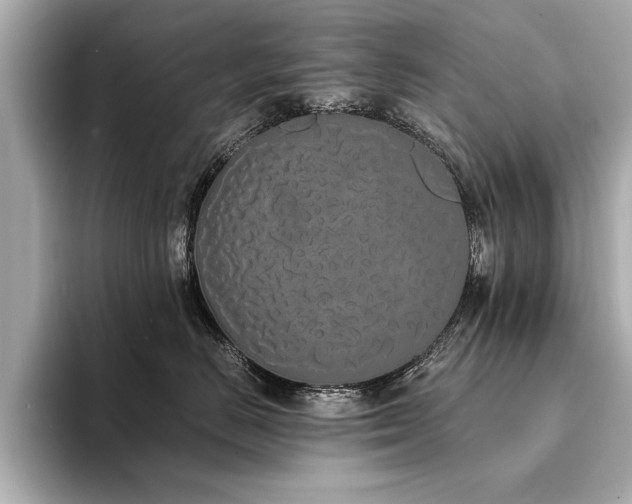 X0000094320670200711021353