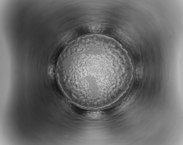 X0000094320671200711021353