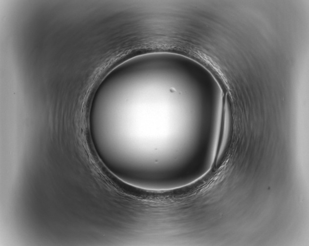 X0000094320673200711021352