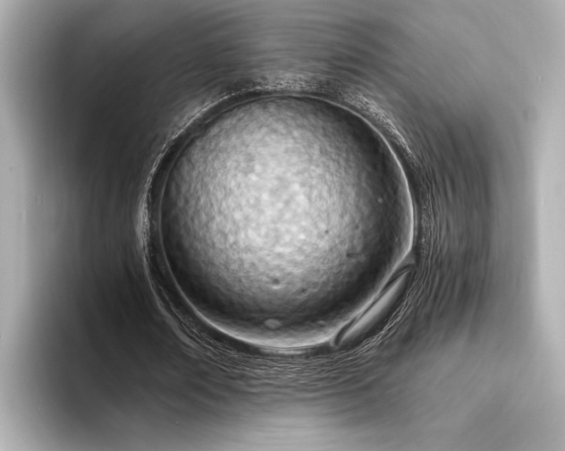 X0000094320674200711021352