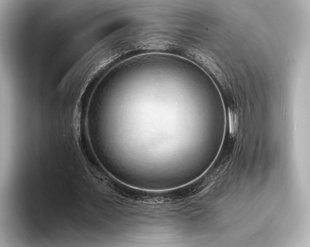 X0000094320675200711021352