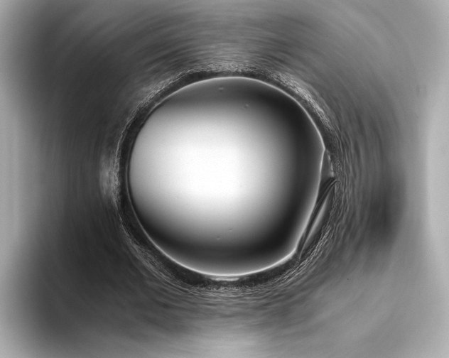 X0000094320677200711021352