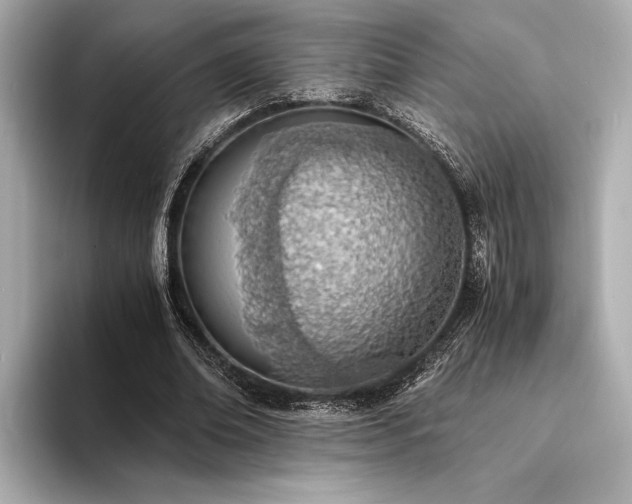X0000094320678200711021352