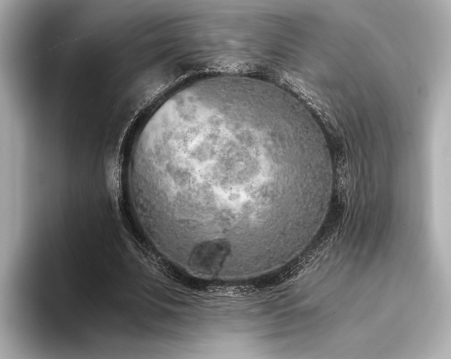 X0000094320679200711021352