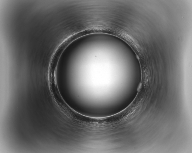 X0000094320680200711021352