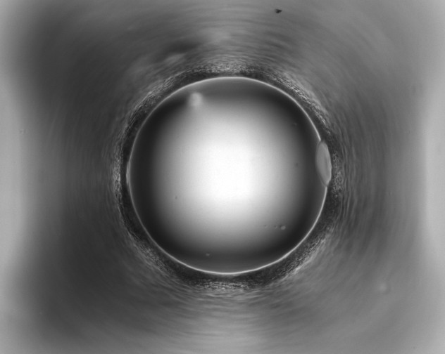 X0000094320681200711021352