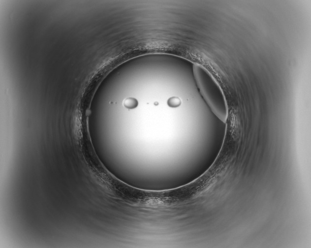 X0000094320684200711021352