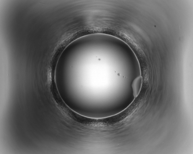X0000094320685200711021352