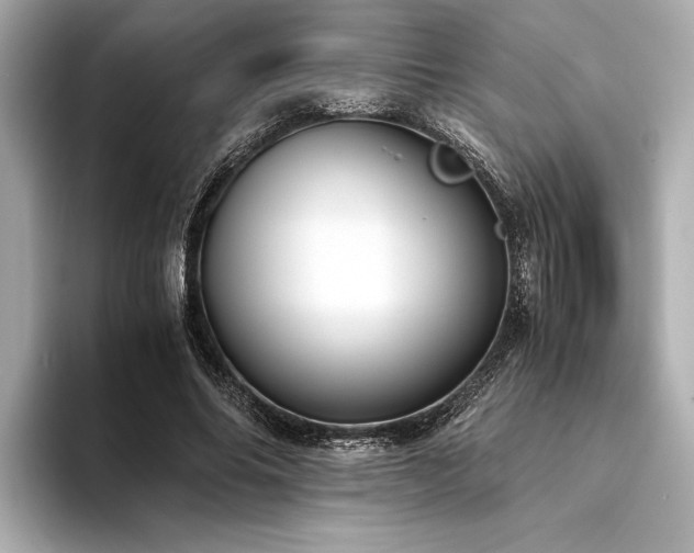 X0000094320686200711021352