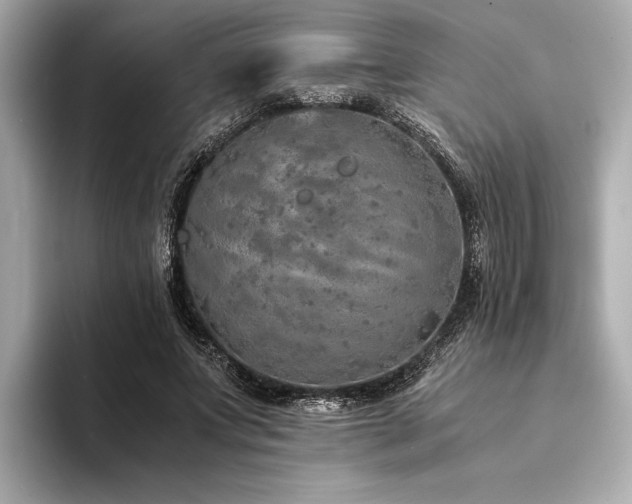 X0000094320687200711021352